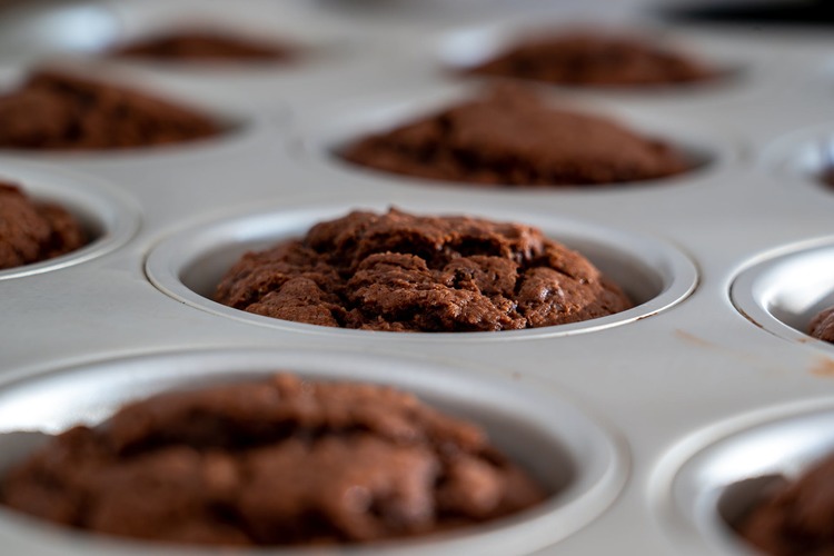 Cocoa Chocolate Muffins